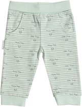 Frogs and Dogs | Pants Streepjes | Groen | Maat 62