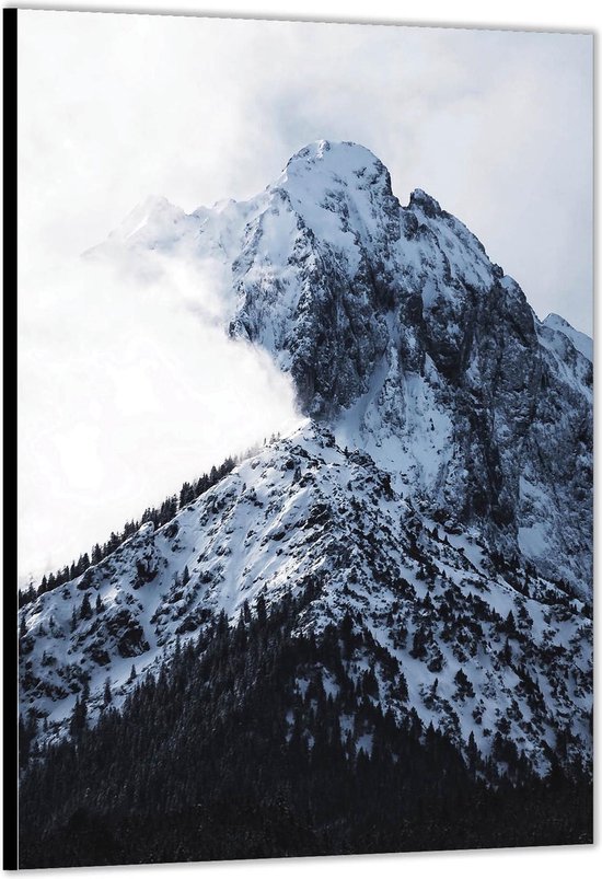 Dibond -Mistige Bergtop met Sneeuw- Foto op Aluminium (Met Ophangsysteem)
