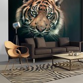 Fotobehang – Behangpapier - Fotobehang - Bengal Tiger 200x154 - Artgeist