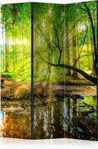 Kamerscherm - Scheidingswand - Vouwscherm - Forest Stream [Room Dividers] 135x172 - Artgeist Vouwscherm