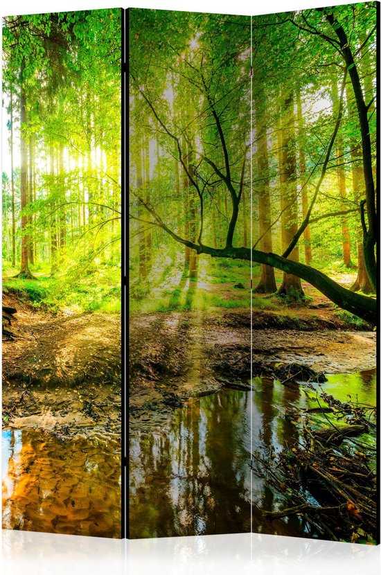 Foto: Kamerscherm scheidingswand vouwscherm forest stream room dividers 135x172 artgeist vouwscherm