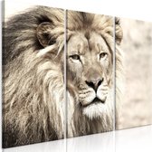 Schilderijen Op Canvas - Schilderij - The King of Beasts (3 Parts) Beige 120x80 - Artgeist Schilderij