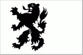 Vlag gemeente Noordwijk 30x45cm