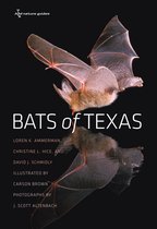 W. L. Moody Jr. Natural History Series 43 - Bats of Texas