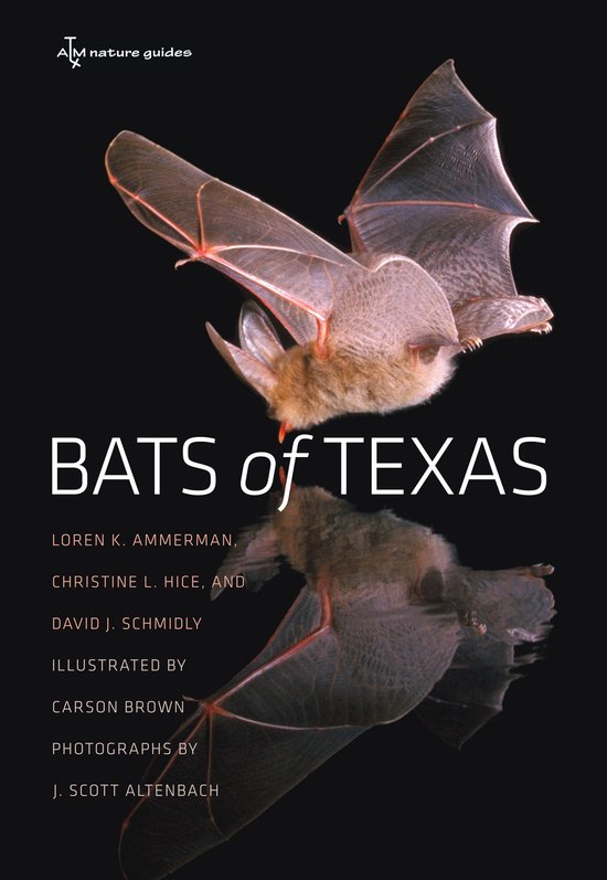 W. L. Moody Jr. Natural History Series 43 Bats of Texas (ebook