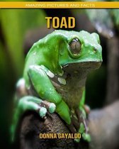 Toad