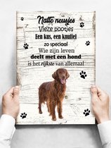 Wandbord Hond: Irish Setter - 30 x 42 cm