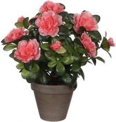 Mica Decorations Azalea Kunstplant in Bloempot Stan - H27 x Ø20 cm - Perzik