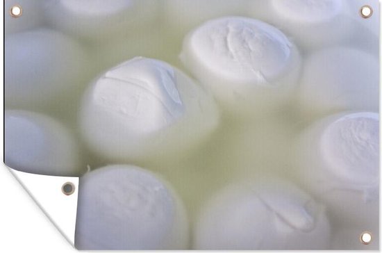Mozzarella est immergé dans l'affiche de jardin d'eau 90x60 cm - Toile de jardin / Toile d'extérieur / Peintures pour l'extérieur (décoration de jardin)