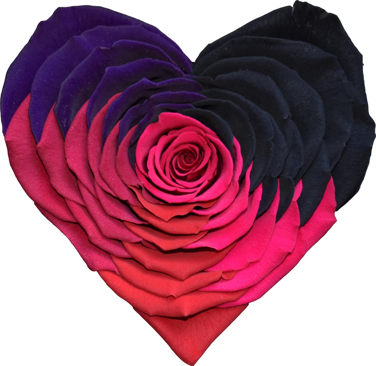 LONGLIFE ROZENHARTJE RAINBOW ROZE IN EEN LUXE BOX * LET OP! GEMAAKT VAN EEN ECHTE ROOS! 2 JAAR HOUDBARE ROZENHART * RUIM ASSORTIMENT AAN LUXE HANDGEMAAKTE CADEAUS >>> WWW.ROSUZ.NL <<< MET KAARTJE OF PERSOONLIJKE BRIEF * MOEDERDAG VERRASSING AAN HUIS?