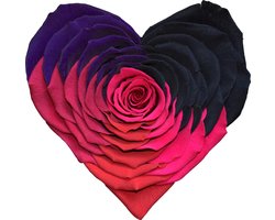 LONGLIFE ROZENHARTJE RAINBOW ROZE IN EEN LUXE BOX * LET OP! GEMAAKT VAN EEN ECHTE ROOS! 2 JAAR HOUDBARE ROZENHART * RUIM ASSORTIMENT AAN LUXE HANDGEMAAKTE CADEAUS >>> WWW.ROSUZ.NL <<< MET KAARTJE OF PERSOONLIJKE BRIEF * MOEDERDAG VERRASSING AAN HUIS?