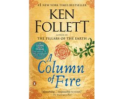 Omslag van Kingsbridge 3 - A Column of Fire