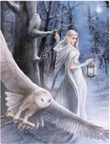 Anne Stokes small Midnight Messenger canvas schilderij