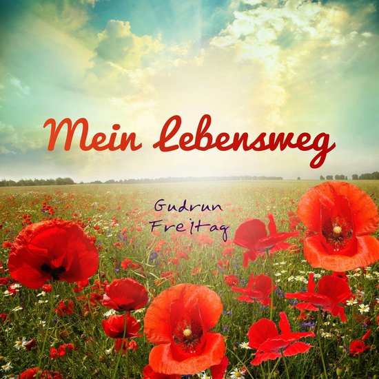 Mein Lebensweg - cover