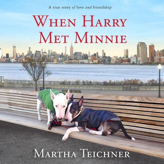 When Harry Met Minnie - cover