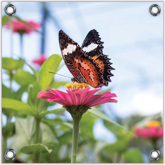 Tuinposter –Vlinder op Roze Bloem -100x100  Foto op Tuinposter  (wanddecoratie voor buiten en binnen)