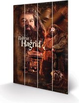 HARRY POTTER - Houten wandbord 40X59 - Hagrid