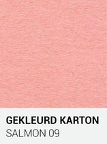 Gekleurd karton salmon 09 30,5x30,5 cm  270 gr.