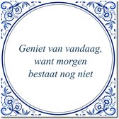 Tegeltje met standaard - Geniet van vandaag, want morgen bestaat nog niet