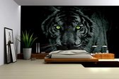 Tiger Animal Photo Wallcovering