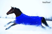 Horseware Amigo Hero 6 Pony Turnout Medium 200G Blauw 80/122 cm