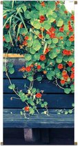 Banner Nasturtium Bench 85x170cm