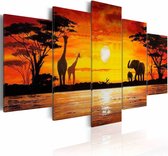 Schilderij - Hot Safari - Afrika, Oranje/Geel,  5luik, wanddecoratie