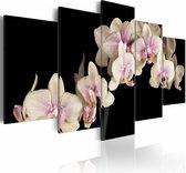 Schilderij - Orchideeën op een contrasterende achtergrond , 5 luik