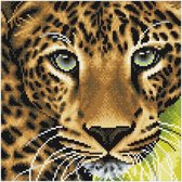 Diamond Painting Crystal Art Kit ® Leopard 30x30 cm, Full Painting
