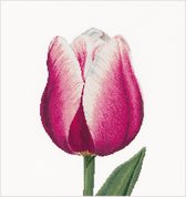 Thea Gouverneur - Borduurpakket met telpatroon - 517 - Voorgesorteerde DMC Garens - Rood-Witte Triumph Tulp - Linnen - 34 cm x 36 cm - DIY Kit