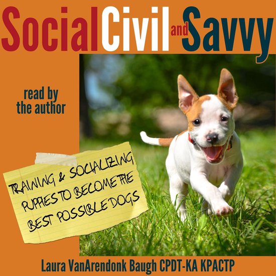 Social, Civil, and Savvy - cover