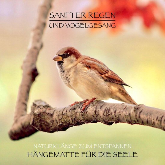 Sanfter Regen und Vogelgesang – Naturklänge zum Entspanne ... - cover