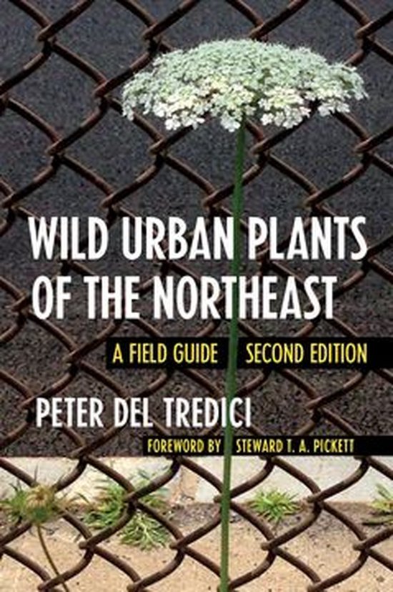 Wild Urban Plants of the Northeast - cover
