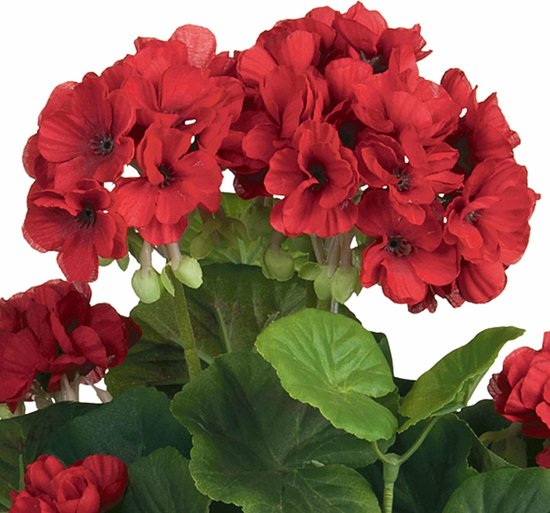 Kunstplant Geranium Rood - H 35cm - Keramiek sierpot - Mica Decorations ...