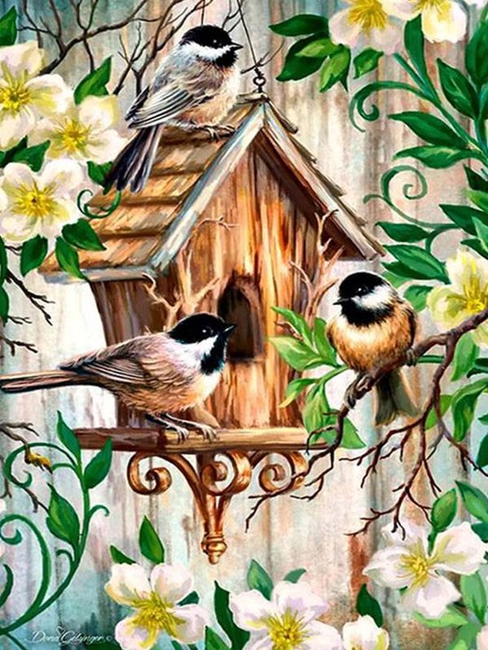 Diamond painting - Vogel - Vogelhuisje met huismezen - 40x30cm | bol