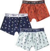 Little Label - boxershorts 3-pack - palms - maat: 134/140 - bio-katoen