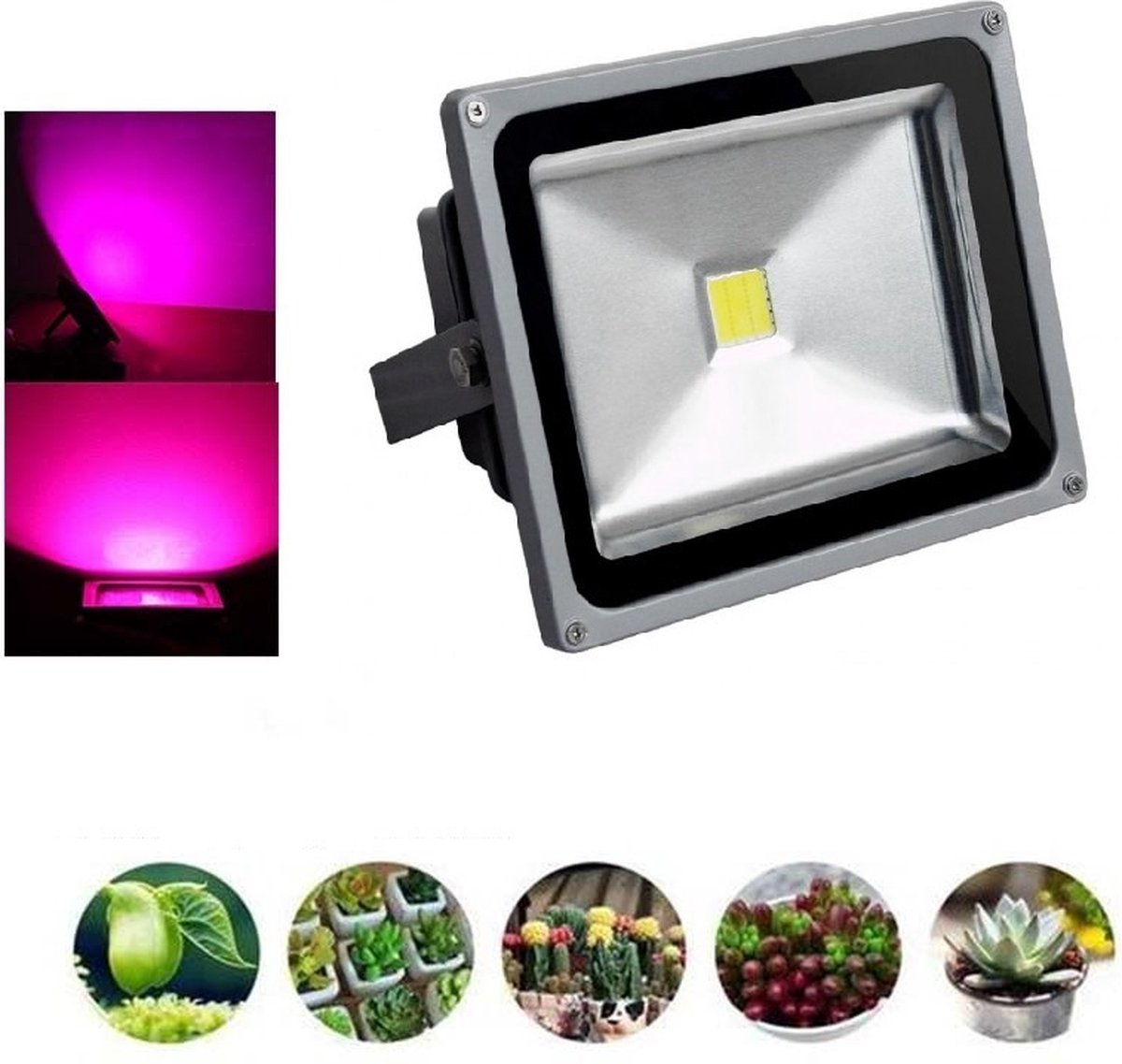 LED Bouwlamp Groeilamp / Kweeklamp - Full Spectrum - 10 Watt