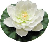 waterlelie Lotus 20 cm foam wit/groen