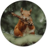 Muurcirkel eekhoorn eten Ø 120 cm / Dibond - Aanbevolen