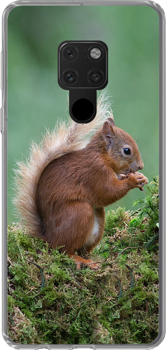 Geschikt voor Huawei P40 Lite hoesje - Eekhoorn - Bos - Mos - Siliconen Telefoonhoesje