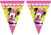 vlaggenlijn Minnie Mouse Party meisjes 3 meter roze