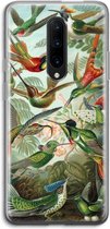 Case Company® - OnePlus 7 Pro hoesje - Haeckel Trochilidae - Soft Cover Telefoonhoesje - Bescherming aan alle Kanten en Schermrand