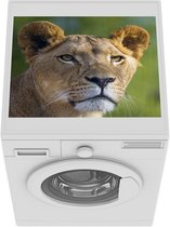 Wasmachine beschermer mat - Portret - Leeuw - Wild - Breedte 55 cm x hoogte 45 cm