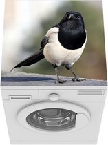 Wasmachine beschermer mat - Ekster - Steen - Vogel - Breedte 60 cm x hoogte 60 cm