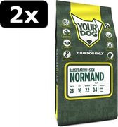 2x YD BAS. ART√àSIEN NORMAND PUP 3KG