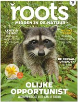 Roots editie 3 - 2022