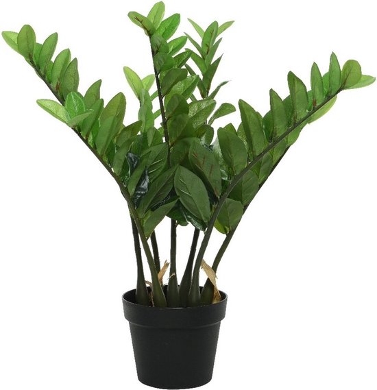 Groene Zamioculcas/kamerpalm kunstplant 60 cm in zwarte pot - Kunstplanten/nepplanten...  | bol.com