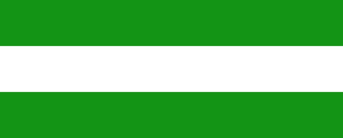 Vlag Hasselt 150x225cm
