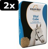 2x EQUIFIRST VITAL CUBE 20KG