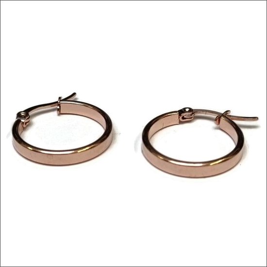 Aramat jewels ® - Rosékleurige ronde oorringen glad 20mm chirurgisch staal